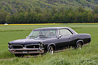 Pontiac Le Mans GTO - am Treffen "American Live" 2012