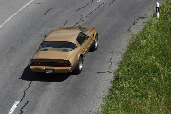 Pontiac TransAm (1981) - natürlich mit Vogel auf der Haube - Oldtimer in Obwalden (O-iO) 2019
