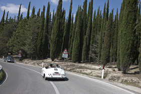 Porsche 356 1500 Speedster 1955 an der Mille Miglia 2011 (1955)