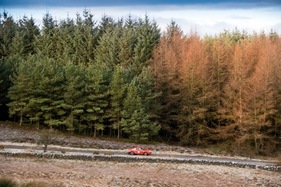 Porsche 911 2.2S (A&D) (1970) - Le Jog 2017