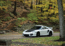 Bild: Porsche 911 GT2 RS (2011) - als Lot 144 an der RM/Sotheby's Arizona Versteigerung 2017 angeboten