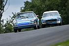 Porsche 911 SWB (1966) - Gentlemen Drivers - Brands Hatch Masters Historic Festival 2020