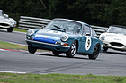 Porsche 911 SWB (1966) - Gentlemen Drivers - Brands Hatch Masters Historic Festival 2020