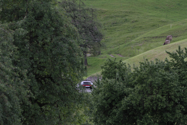Porsche 911 Speedster - am Alpenbrevet 2020