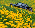 Bild: Porsche 911 Turbo (933) (1986) - aufgenommen in den Neunzigerjahren