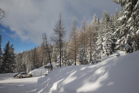 Porsche 911T (1967) - Planai Classic 2020