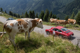 Porsche 912 (1968) - mit Startnummer 163 an der Ennstal-Classic 2017