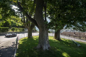 Porsche 964 Targa (1991) - an der 16. OCC Jungfrau-Rallye 2021