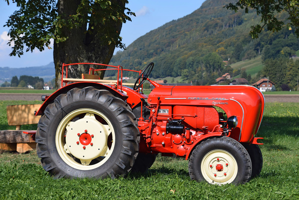 Porsche-Diesel Standard 208 (Traktor) (1958) - als Lot 50 an der Versteigerung der Oldtimer Galerie Toffen am 14. Oktober 2017