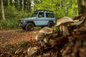 Puch G (1987) - MIt dem Geländewagen zum Pilze sammeln