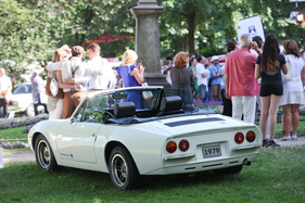 Puma 1600 GTS (1979) - Hackansicht, Motor im Heck - 40. Oldtimer-Meeting Baden-Baden 2016