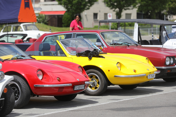 Puma mit und ohne (Plüsch-) Puma - Fantastic Plastic in Rickenbach 2023