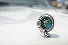 Hood Ornament mit Marlin in einem Strudel aus türkisgrünem Plexiglas.