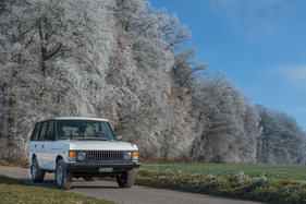 Range Rover 4 Door (1985) - Weiss steht ihm sehr gut