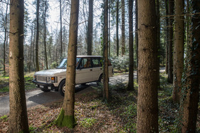 Range Rover 4 Door Monteverdi Design (1982) - ist im Wald und vor der Oper zuhause