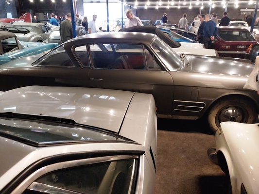 Raritäten im Halleninneren - Palmen Scheunenfund-Sammlung