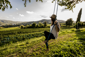 Reisevorschläge im Tessin - Vendemmia nel Mendrisiotto