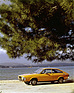 Bild: Renault 15 TL (1976) – Unter Pinien