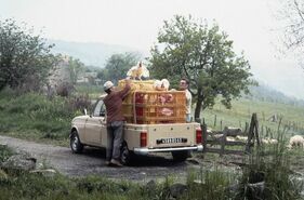 Renault 4 F6 Pick-up (1975) - als Pickup für den Hühnertransport
