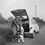 Bild: Renault 4 L (1961) - Genügend Platz für des Menschens beste Freunde