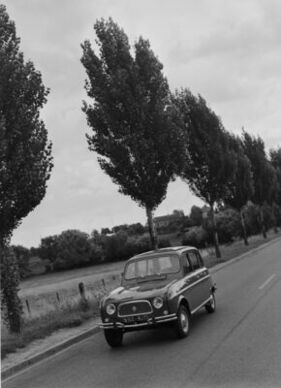 Renault 4 Super (1963) - unterwegs entlang einer Allee