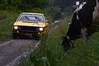 Renault R17TL (1973) - an der SMR 2015