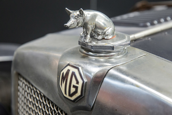 Richtig, das ist ein Schwein und …