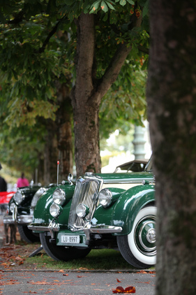 Riley 2,5 Litre RHD Cabriolet (1950) - am Concours d'Excellence Luzern am 17. September 2016 (1950)