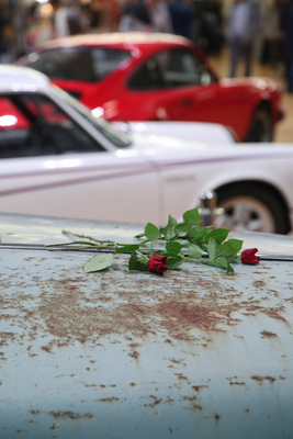Röschen auf der Patina - Oldtimermesse St. Gallen am 30. Oktober 2016