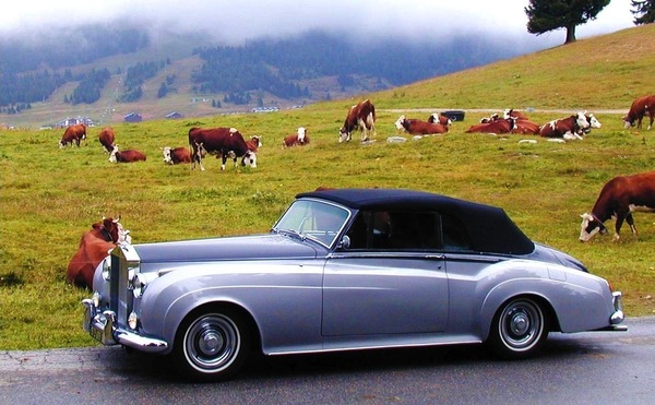 Image: Rolls-Royce Silver Cloud Cabriolet (1959) - offered as lot 432 at the auction "Les Grandes Marques du Monde au Grand Palais" by Bonhams on February 6, 2014