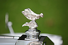 Rolls-Royce Silver Dawn (1953) - am Concours d'Elégance Suisse 2016