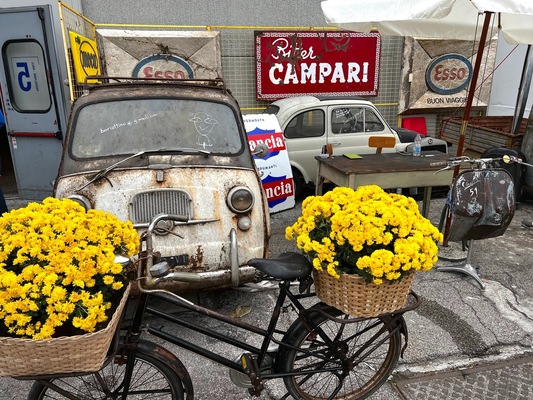 Bild Rostiger Fiat 600 Multipla – Blumenkübel oder Restaurierungsprojekt? – Auto e Moto d'Epoca 2022