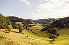 Artikelbild Freiburg Schauinsland-Klassik 2022 – Durch die Weiten des unendlichen Schwarzwaldes