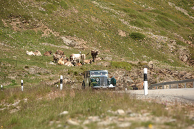 SS Jaguar Saloon (1937) - am British Classic Car Meeting St. Moritz 2015