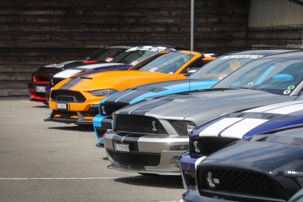 Schlange statt Pferd: die Fraktion der modernen Shelby-Derivate - 8. Mustang & Shelby Meeting 2024