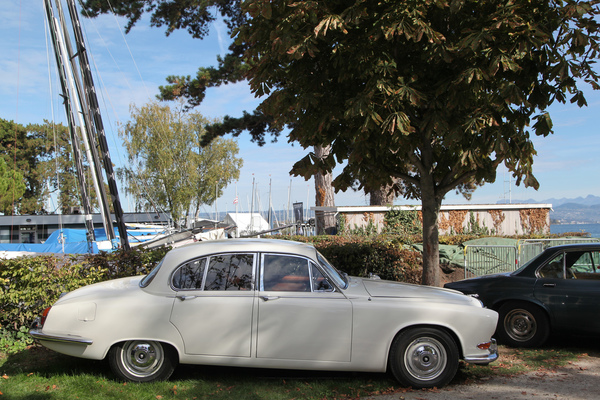 Schöne Jaguar-Limousine in Weiss - Swiss Classic British Car Meeting Morges 2017