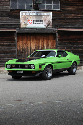 Schweizer Braunvieh und der Mustang - Mustang & Shelby Meeting 2017 in Zug Schweizer Braunvieh und der Mustang - Mustang & Shelby Meeting 2017 in Zug