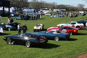 Sechs mal Daytona - ein halbes Dutzend unterschiedlichster Spielarten des Ferrari 365 GTB/4.