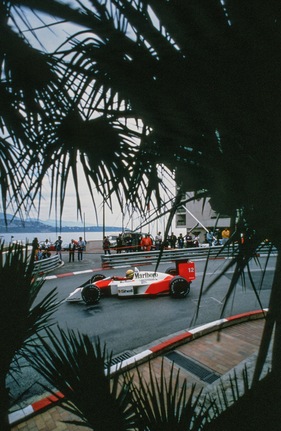 Senna 1988 durch die Palmen gesehen (Pos 13)