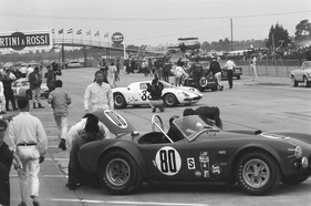 Shelby Cobra (1966) - Tom Payne's Shelby Cobra vor dem Start... (12 Stunden von Sebring 1966)