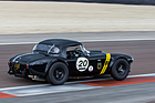 Shelby Cobra 289 (1965) am Grand Prix de l'Age d'Or 2016 in der Kategorie "Sixties Endurance"