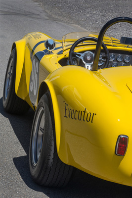 Shelby Cobra 289 (1967) - "Executor" bedeutet auch "Nachlassverwalter" - eigentlich noch passend