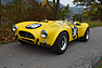 Shelby Cobra 289 FIA Replica (1967) - als Lot 61 an der Versteigerung der Oldtimer Galerie Toffen anlässlich der Dolder Classics am 11. Juni 2016 (© Oldtimer Galerie Toffen, 2016) Shelby Cobra 289 FIA Replica (1967) - als Lot 61 an der Versteigerung der Oldtimer Galerie Toffen anlässlich der Dolder Classics am 11. Juni 2016 (© Oldtimer Galerie Toffen, 2016)