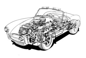 Shelby Cobra 427 (1965) - Durchsichtszeichnung