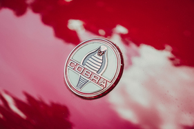 Shelby Cobra 427 (1966) - die Schlange auf dem Bug