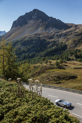 Shelby Cobra 427 INC (1966) - am Bergrennen Bernina Gran Turismo 2021