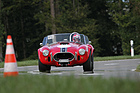 Shelby Cobra 427 S/C (1968) - Bergrennen Steckborn-Eichhölzli Memorial 2018