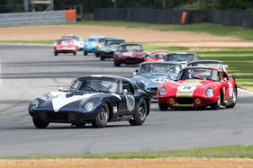 Bild Shelby Daytona Cobra (1965) - Gentlemen Drivers - Brands Hatch Masters Historic Festival 2020