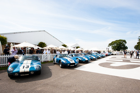 Die damals gebauten Shelby Cobra Daytona Coupés