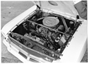 Shelby GT 350 (1965) - der 289er V8, wie er auch in der Cobra verbaut wurde